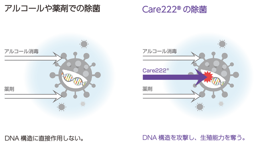 MYSOTER_DNA_2000