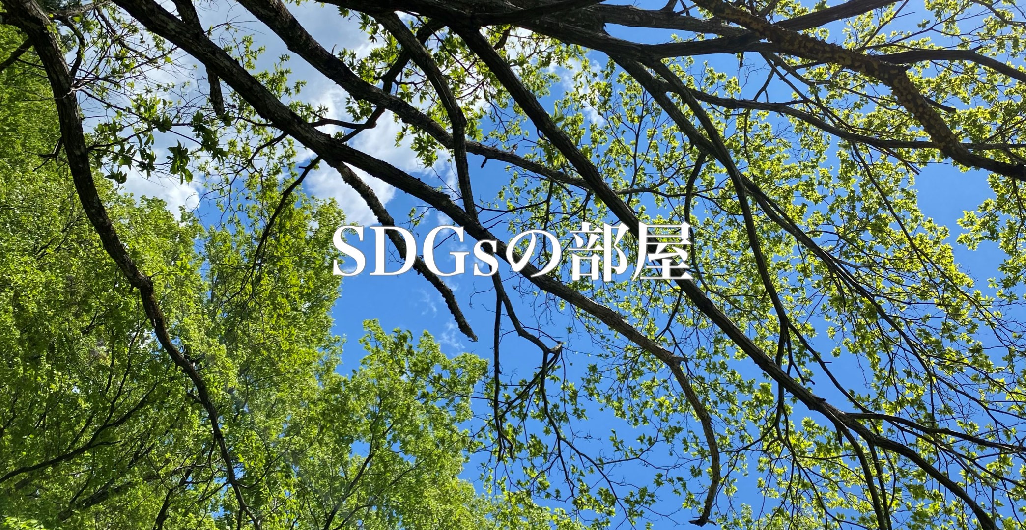 SDGs-1