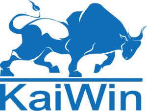 Kaiwin（TOPロゴ表示用）